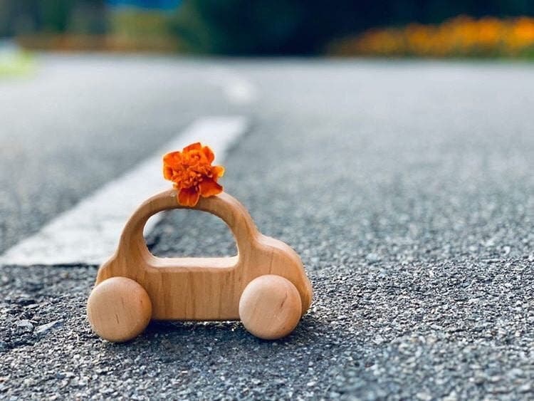 Wooden toy car | Wood hand push toy car | Push mini car | Pretend play gift Made in Ukraine